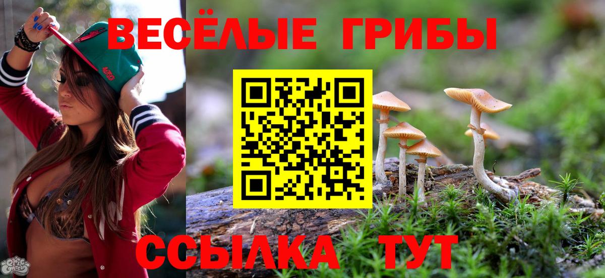 Галлюциногенные грибы MAGIC MUSHROOMS Зеленокумск