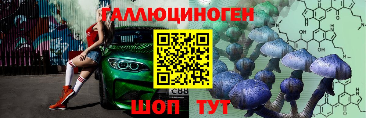 Галлюциногенные грибы MAGIC MUSHROOMS  Вход с VPN  Зеленокумск 