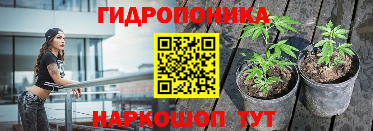 Каннабис Amnesia  Марихуана конопля  Вход с VPN  Канабис THC 21%  Зеленокумск 